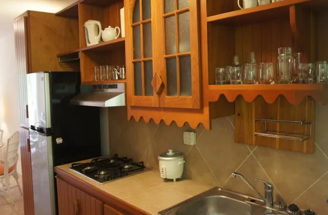 Renaissance Residence Condo Cabarete apartment kitchen